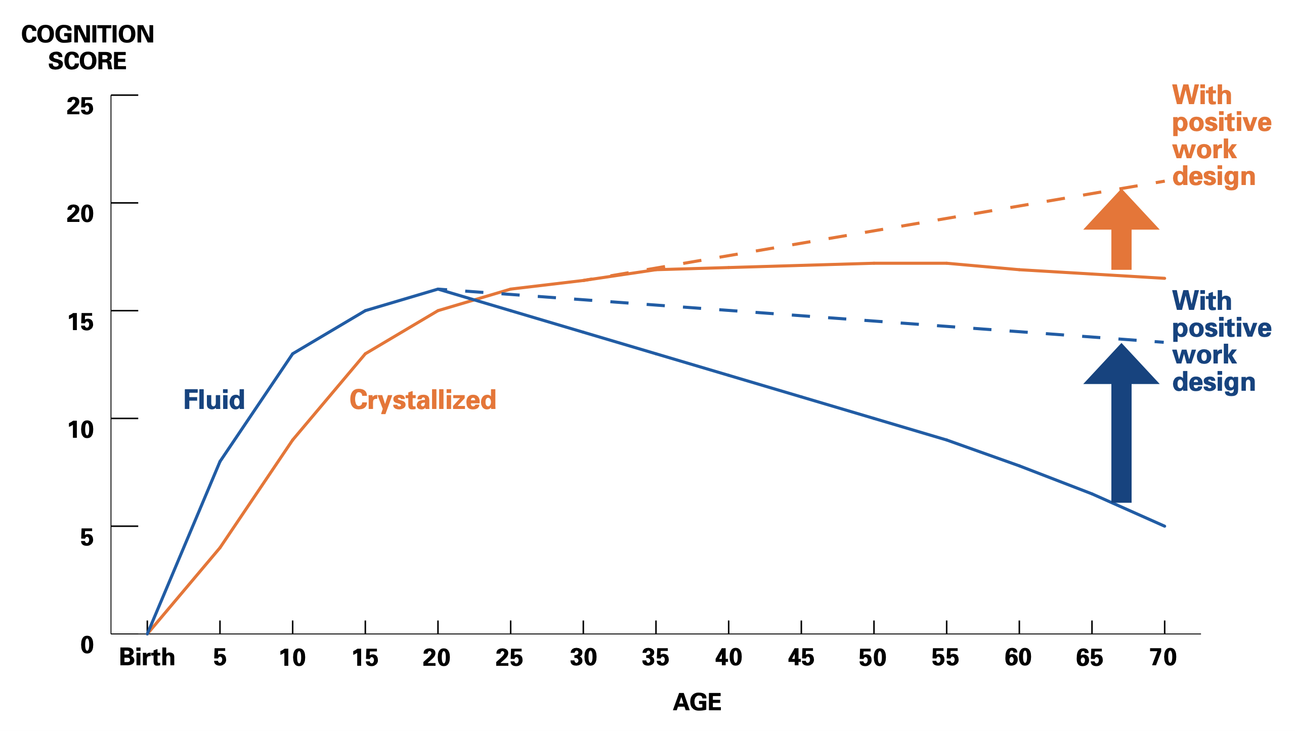 Influencing Cognition Across the Lifespan